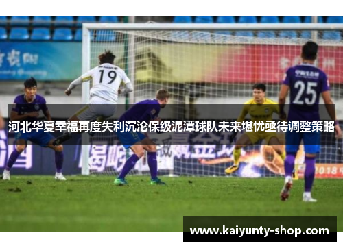 河北华夏幸福再度失利沉沦保级泥潭球队未来堪忧亟待调整策略