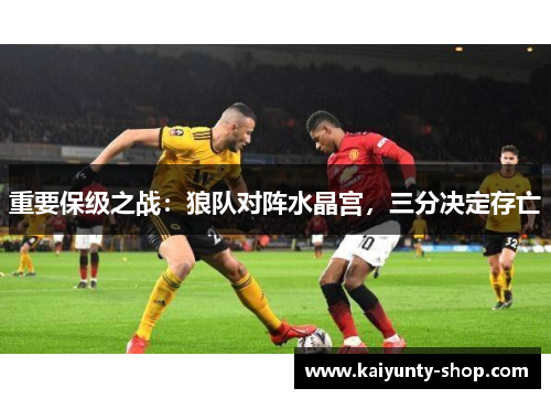 重要保级之战：狼队对阵水晶宫，三分决定存亡