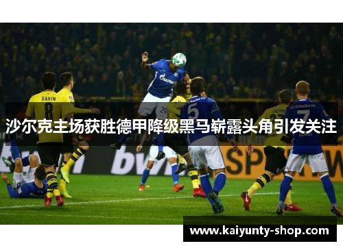 沙尔克主场获胜德甲降级黑马崭露头角引发关注