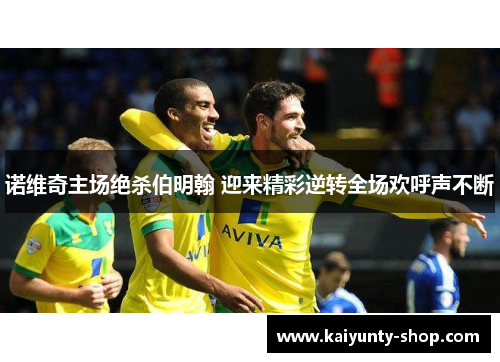 诺维奇主场绝杀伯明翰 迎来精彩逆转全场欢呼声不断