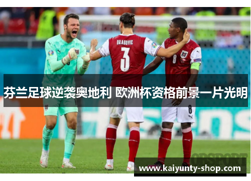 芬兰足球逆袭奥地利 欧洲杯资格前景一片光明