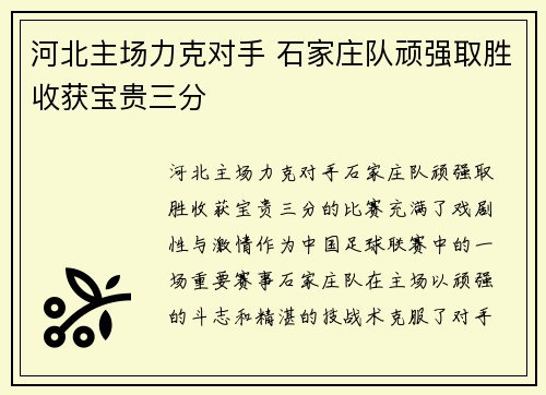 河北主场力克对手 石家庄队顽强取胜收获宝贵三分