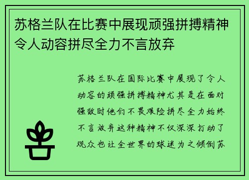 苏格兰队在比赛中展现顽强拼搏精神令人动容拼尽全力不言放弃